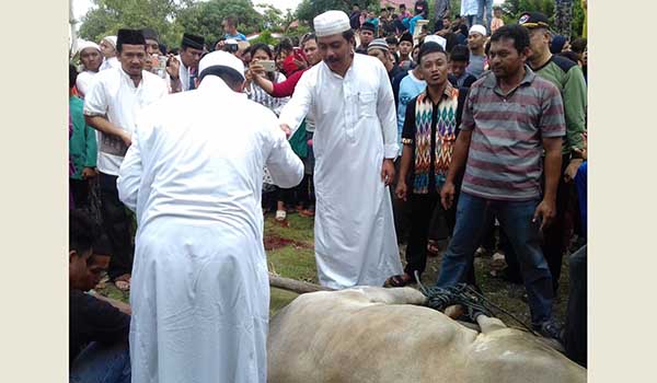 “RANGKAIAN IDUL ADHA” Gubernur Kepri