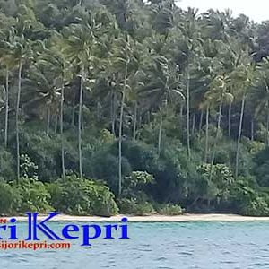 Pulau Hantu, Kecamatan Pulau Tiga Kabupaten Natuna.