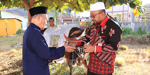 Idul Adha 1438 H “PEMKO TANJUNGPINANG SERAHKAN 58 EKOR SAPI”