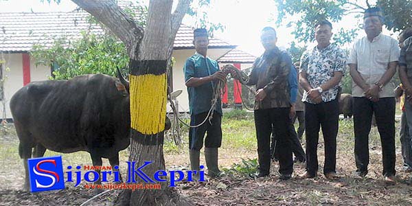 Idul Adha 1438 Hijriah “POLRES LINGGA KURBAN 2 SAPI 1 KAMBING”