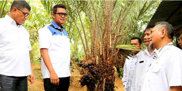 Petani di Desa Lancang Kuning “WUJUDKAN SENTRA AGRO WISATA SALAK SARI INTAN”