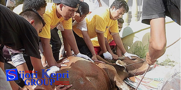 PKS Ajak Warga Tanjungpinang Ikuti Program “TEBAR HEWAN QURBAN”