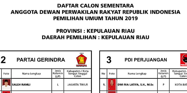 Ini DCS “ANGGOTA DPR RI” Provinsi Kepri