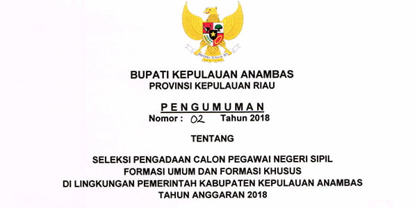 Ini Formasi Seleksi Penerimaan CPNS “PEMKAB ANAMBAS”