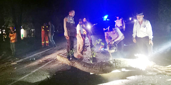 Pohon Tumbang, Polres Tanjungpinang Lakukan Reaksi Cepat Tanggap Bencana