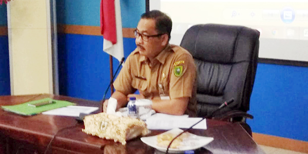 Fun Touristic Festival 2019 Promosikan Pariwisata Natuna