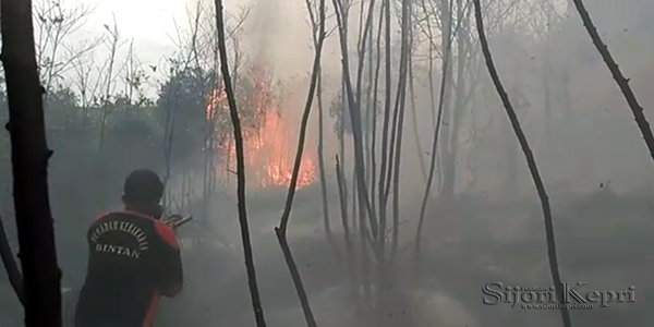 Empat Hektar Hutan Hangus Dilalap Sijago Merah