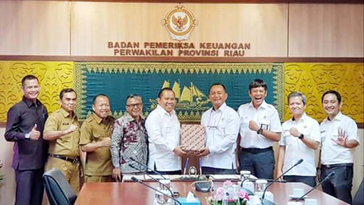 Tercepat di Riau, Bupati Meranti Serahkan LKPD 2019 Kepada BPK RI
