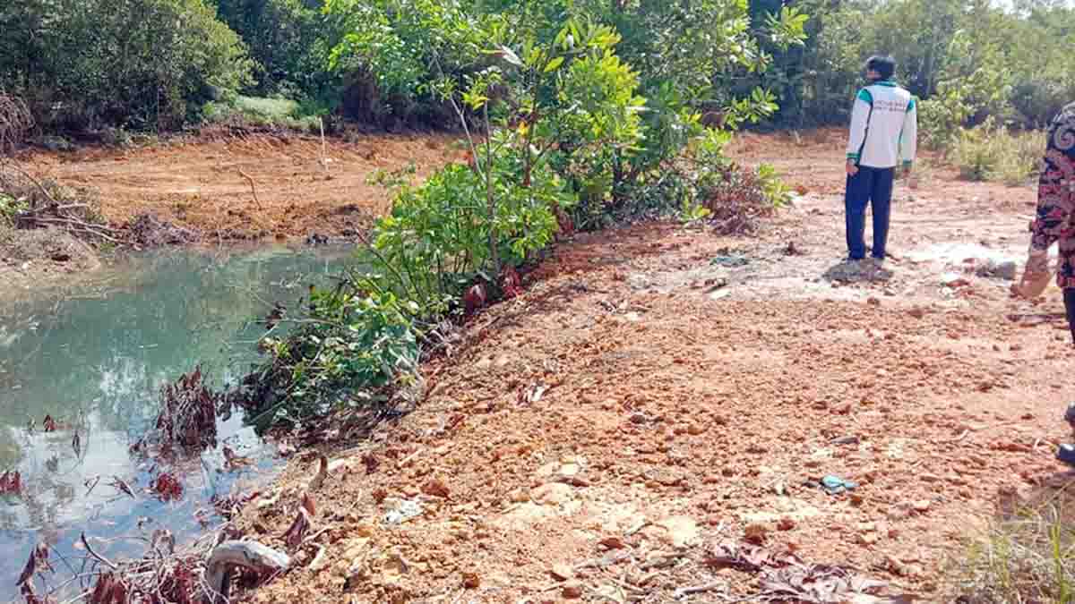 Polres Bintan Langsung Bereaksi, Penimbun Hutan Mangrove Dipanggil