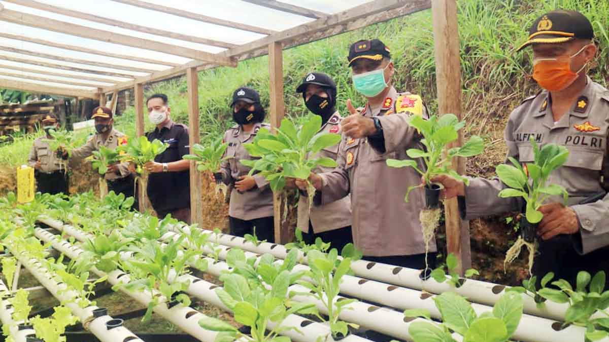 Hadapi Pandemi COVID-19, Polisi Mulai Garap Kebun