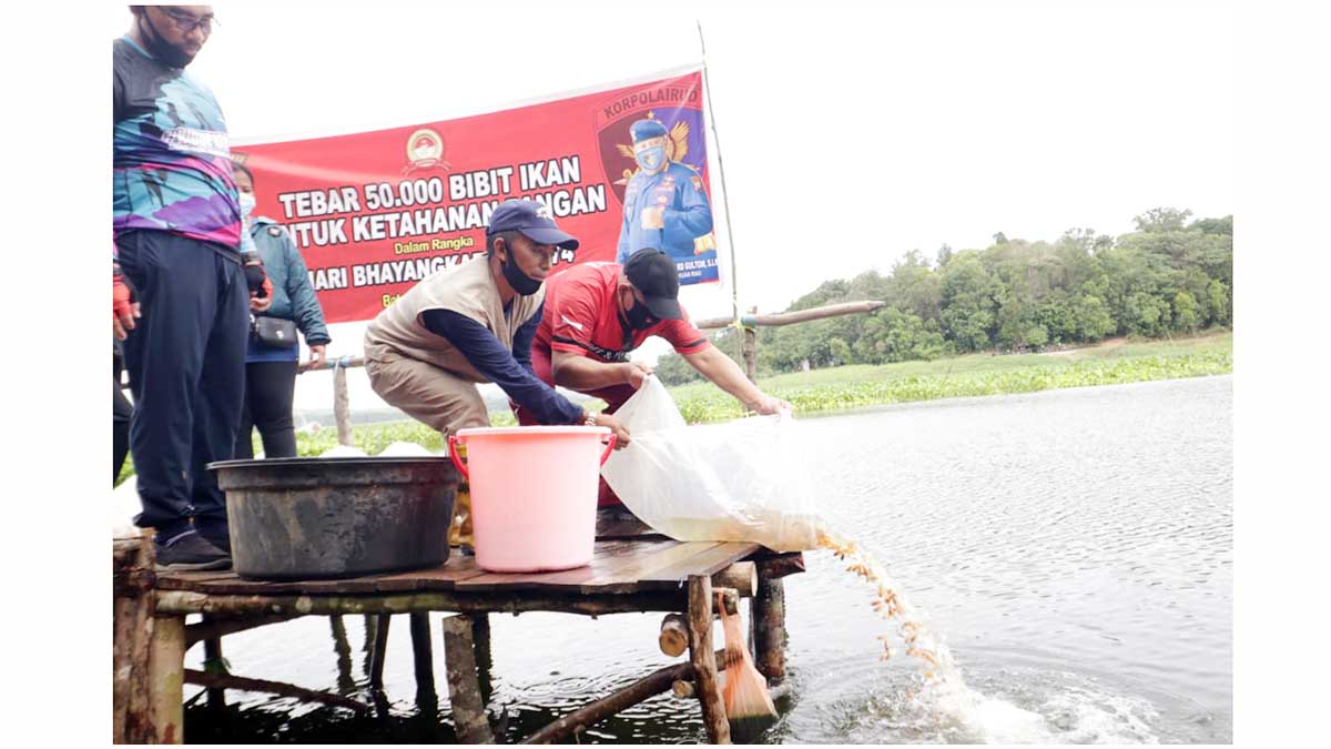 Polda Kepulauan Riau Tebar 50 Ribu Bibit Ikan