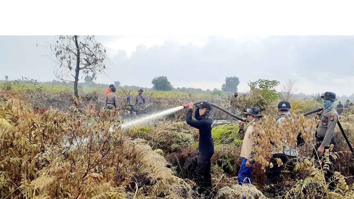 Sekitar 8 Hektar Lahan Desa Sungai Gayung Terbakar