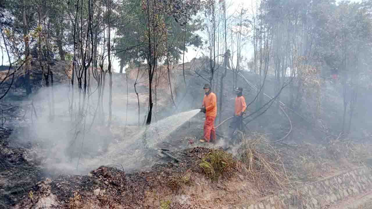 Kapolresta Barelang Tinjau Kebakaran Hutan di Depan Perumahan Mediterania