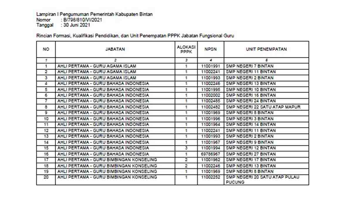 Formasi Penerimaan PPPK 2021 Kabupaten Bintan