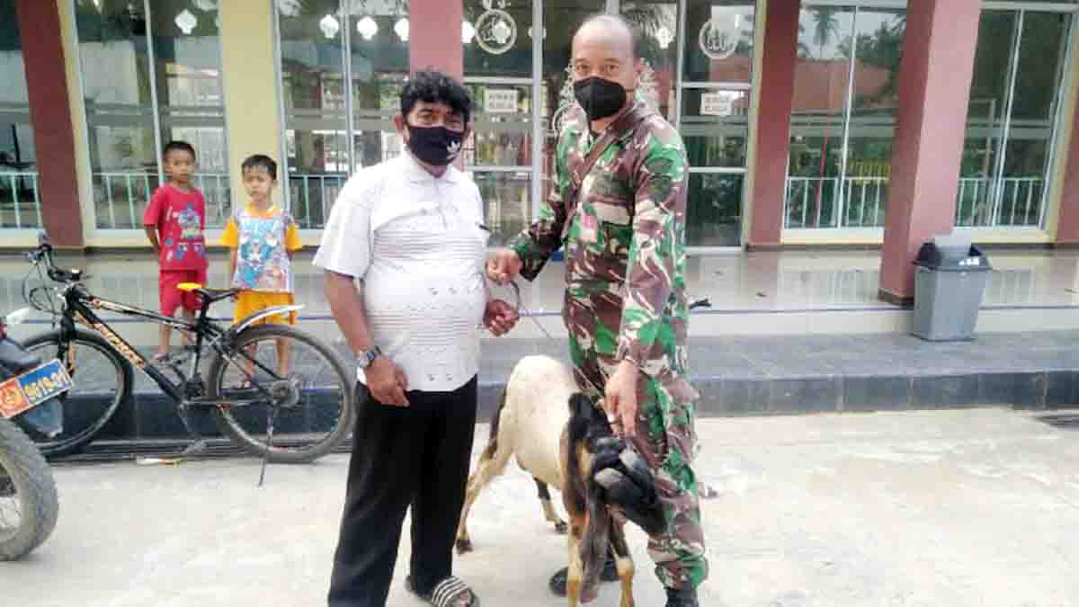 Lanud Hang Nadim Batam Serahkan 7 Ekor Kambing Kurban