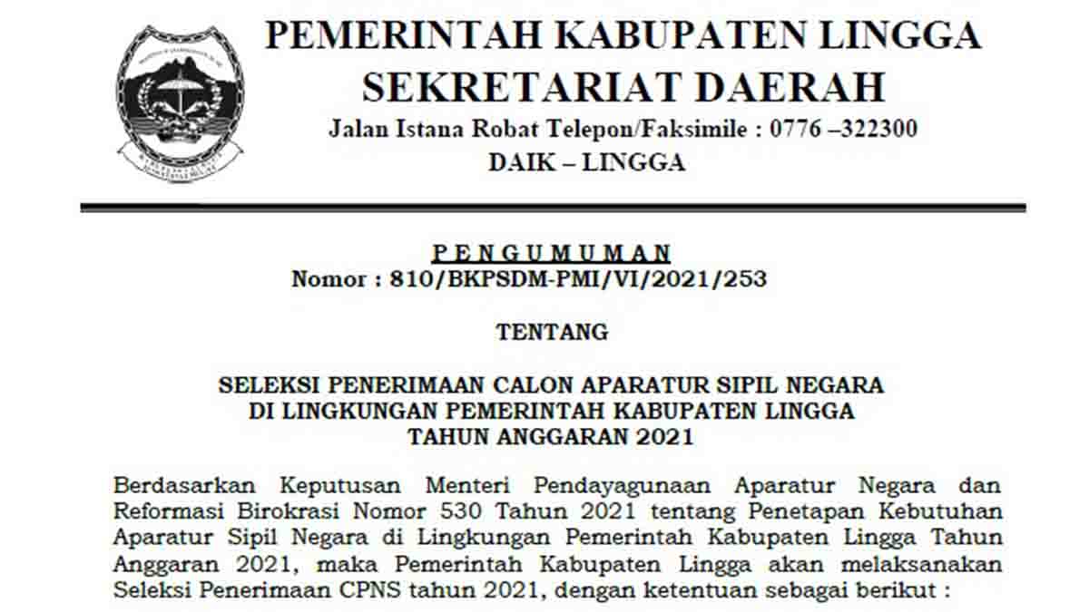 Pengumuman Penerimaan CPNS dan PPPK 2021 Kabupaten Lingga