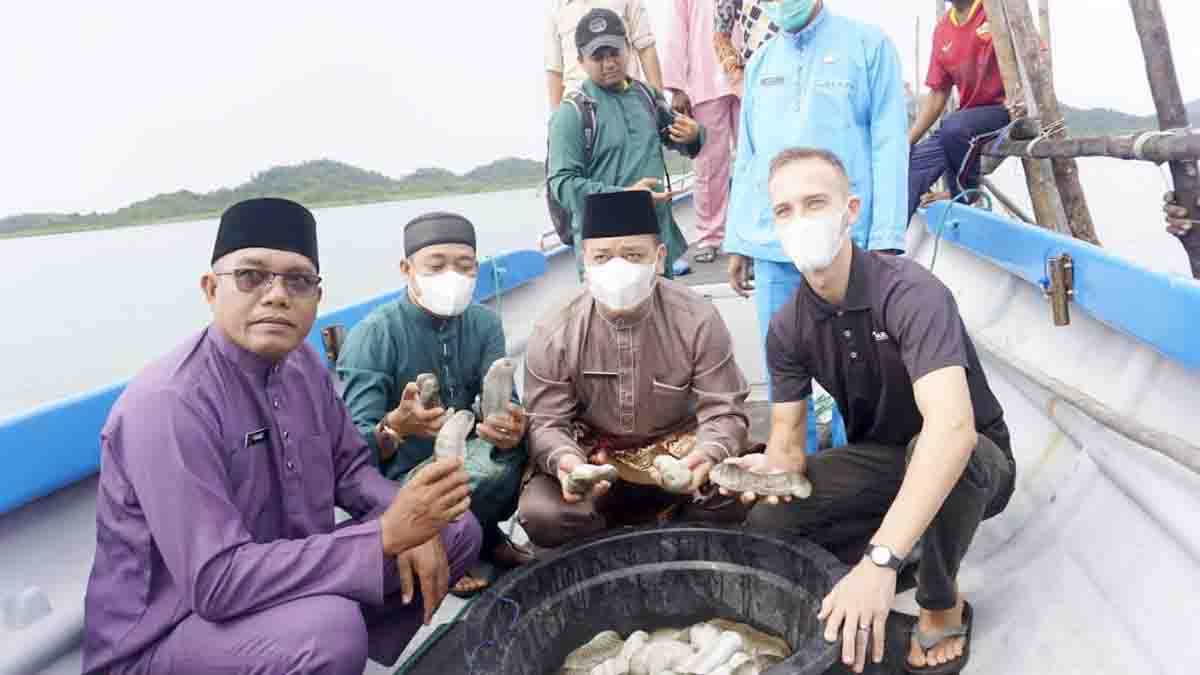 Dua Perairan di Lingga Disiapkan Jadi Pusat Budidaya Timun Laut