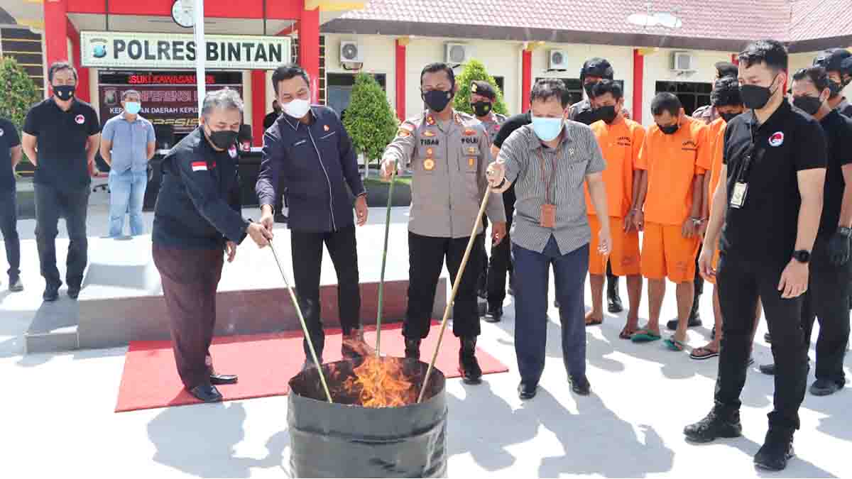 Polres Bintan Musnahkan 418,93 Gram Ganja dari 3 Tersangka