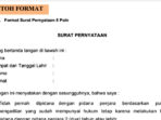 Contoh Surat Pernyataan PPPK Tenaga Kesehatan Pemprov Kepri Tahun 2022