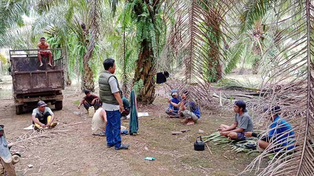 Aparat Diminta Turun, Intimidasi di Lahan ex TDA Lampung Tengah Terjadi, Warga Ditembaki dan Ditebas Golok
