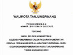 Pengumuman Lulus Seleksi Administrasi PPPK Guru Pemko Tanjung Pinang Tahun 2022