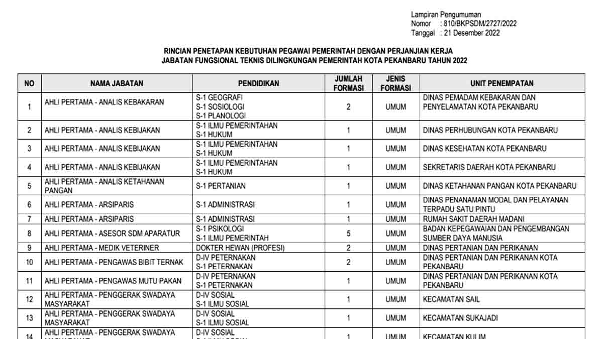 Daftar Formasi PPPK Tenaga Teknis Pemko Pekan Baru 2022, Mulai Jabatan Analis Kebakaran hingga Pranata Komputer
