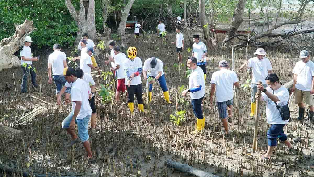 Cara PLN Batam Peringati Hari Lingkungan Hidup Se-Dunia di Desa Wisata Kampung Terih