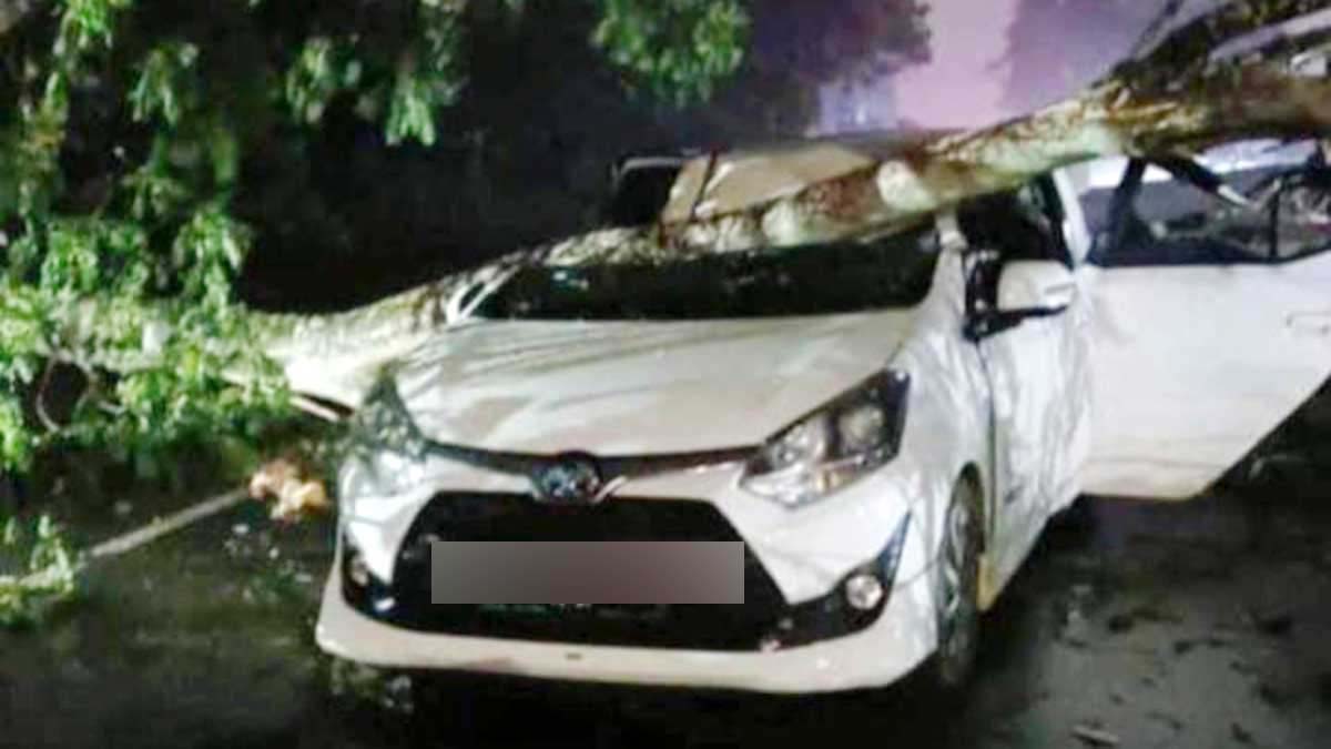 Cuaca Ekstrem, Mobil Toyota Agya Tertimpa Pohon di Tanjung Pinang