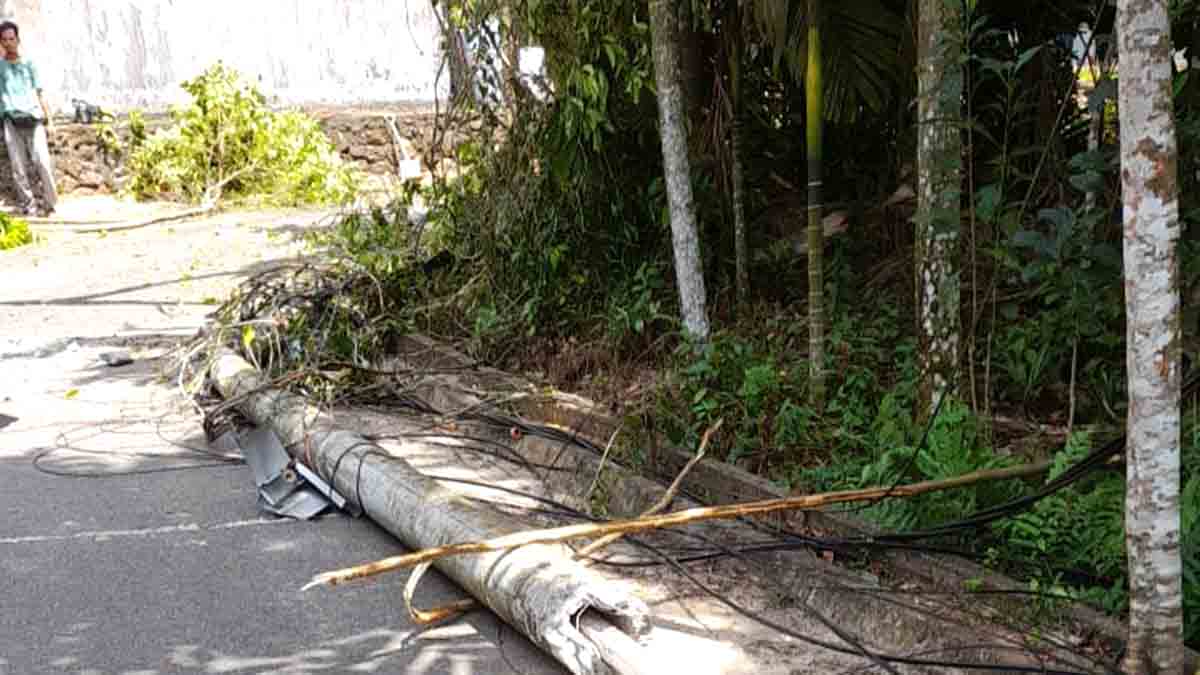 Pemadaman Listrik Tidak Terencana di Tanjung Pinang, Akibat Tiang Patah