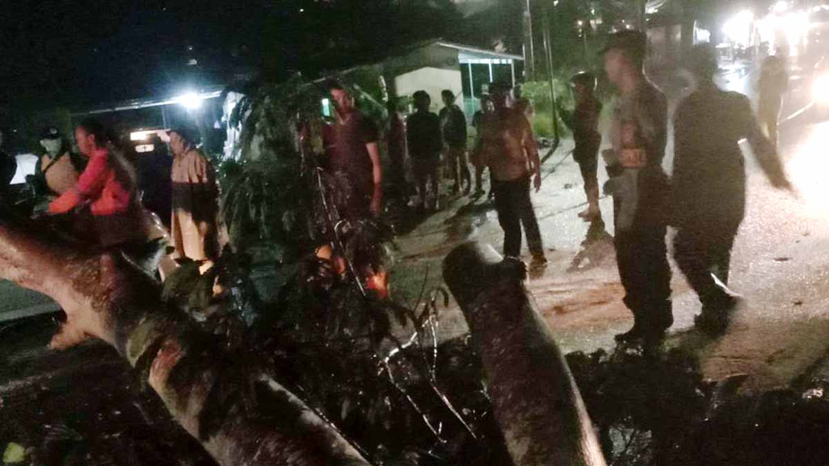 Gunakan Sendal Jepit, Kapolsek Tanjung Pinang Timur dan Jajaran Sigap Beri Bantuan Saat Mobil Toyota Agya Tertimpa Pohon