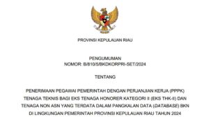Pengumuman PPPK Tenaga Teknis Pemerintah Provinsi Kepulauan Riau Tahun 2024, Tersedia 4.063 Formasi