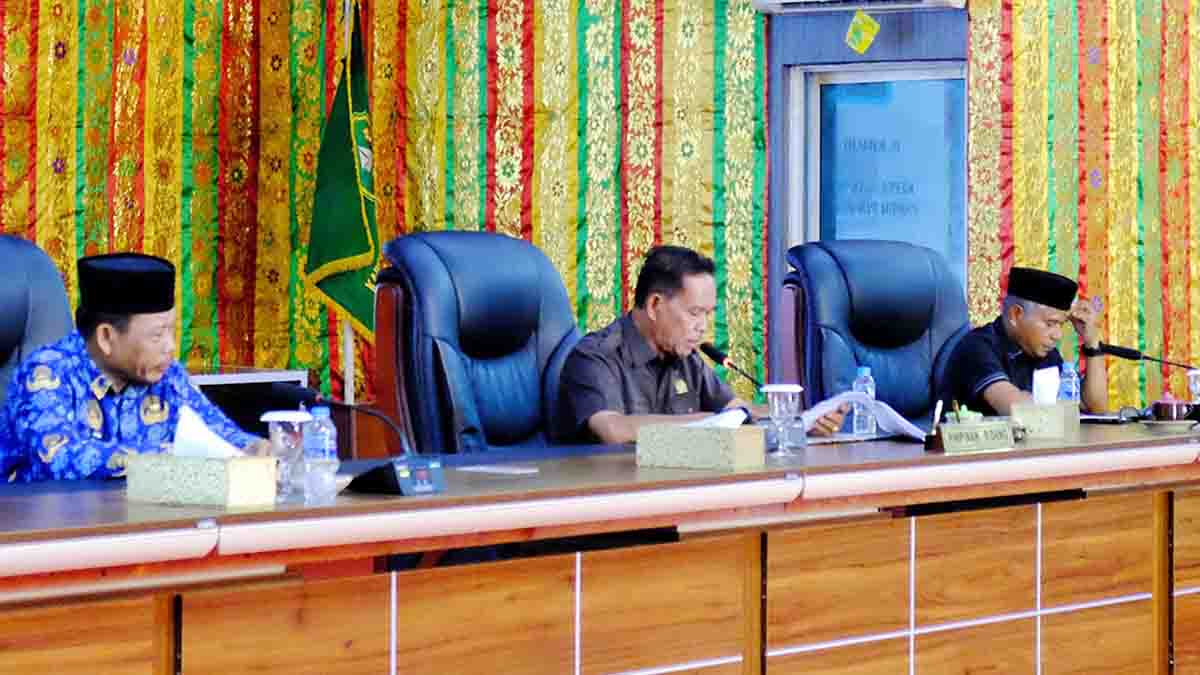 Fraksi PAN Tekankan Pentingnya RPJPD Kepulauan Meranti 2025-2045 sebagai Landasan Pembangunan Daerah