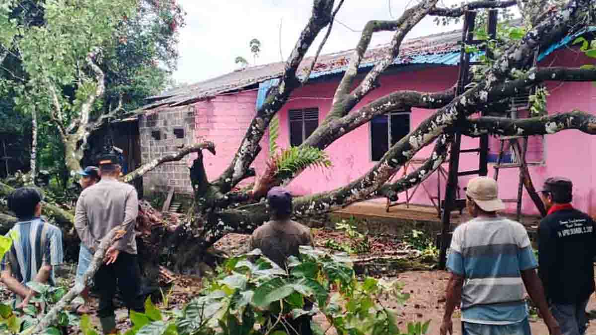 Polsek Bintan Timur Bantu Evakuasi Pohon Tumbang yang Menimpa Rumah Warga di Gunung Lengkuas