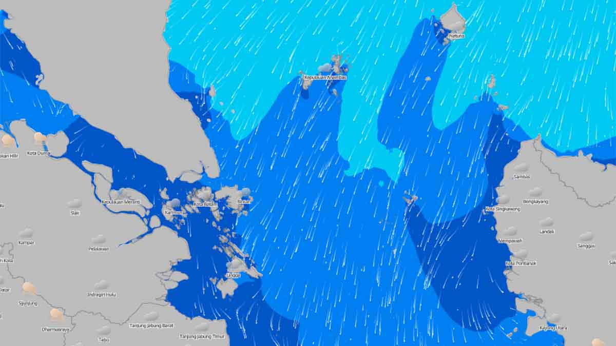 Tetap Waspada! Peringatan Gelombang Tinggi di Perairan Tanjung Pinang/Bintan, Lingga, Natuna dan Anambas, Senin 20 Januari 2025