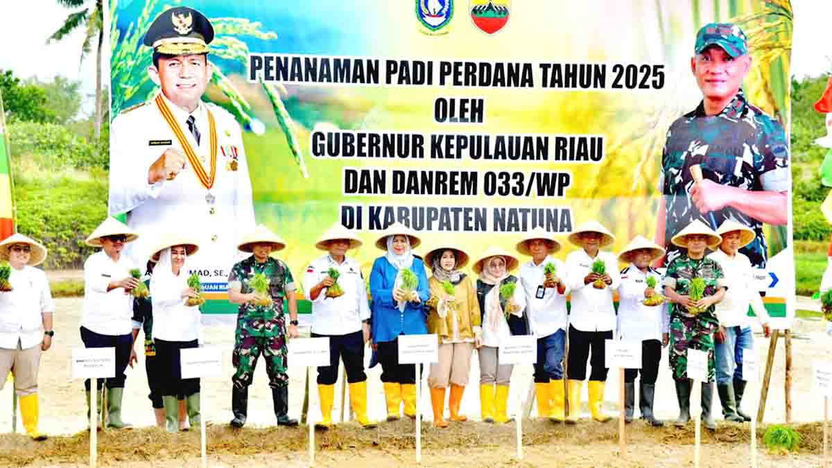 Gubernur Kepulauan Riau, Ansar Ahmad, saat menghadiri penanaman perdana Padi di Kabupaten Natuna