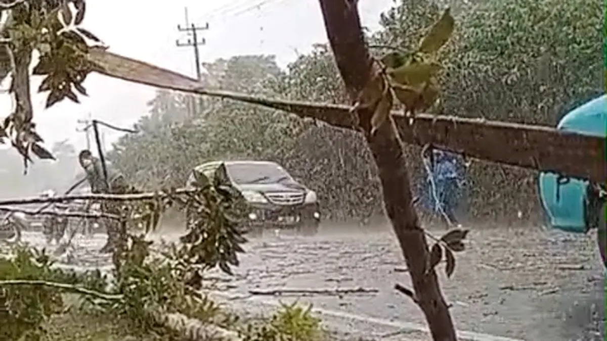 Bhabinkamtibmas Desa Toapaya Selatan, Brigpol Muhammad Alfin, bersama warga mengevakuasi pohon tumbang yang sempat menutup akses jalan utama di Jalan Wisata Bahari Km 25