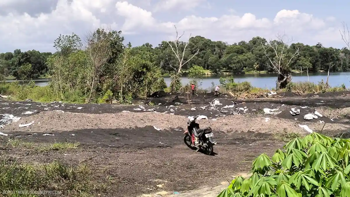 Diduga Buang Limbah di Danau Sentani, PLTU Karimun Ngaku Sudah Kantongi Izin dari Camat Tebing