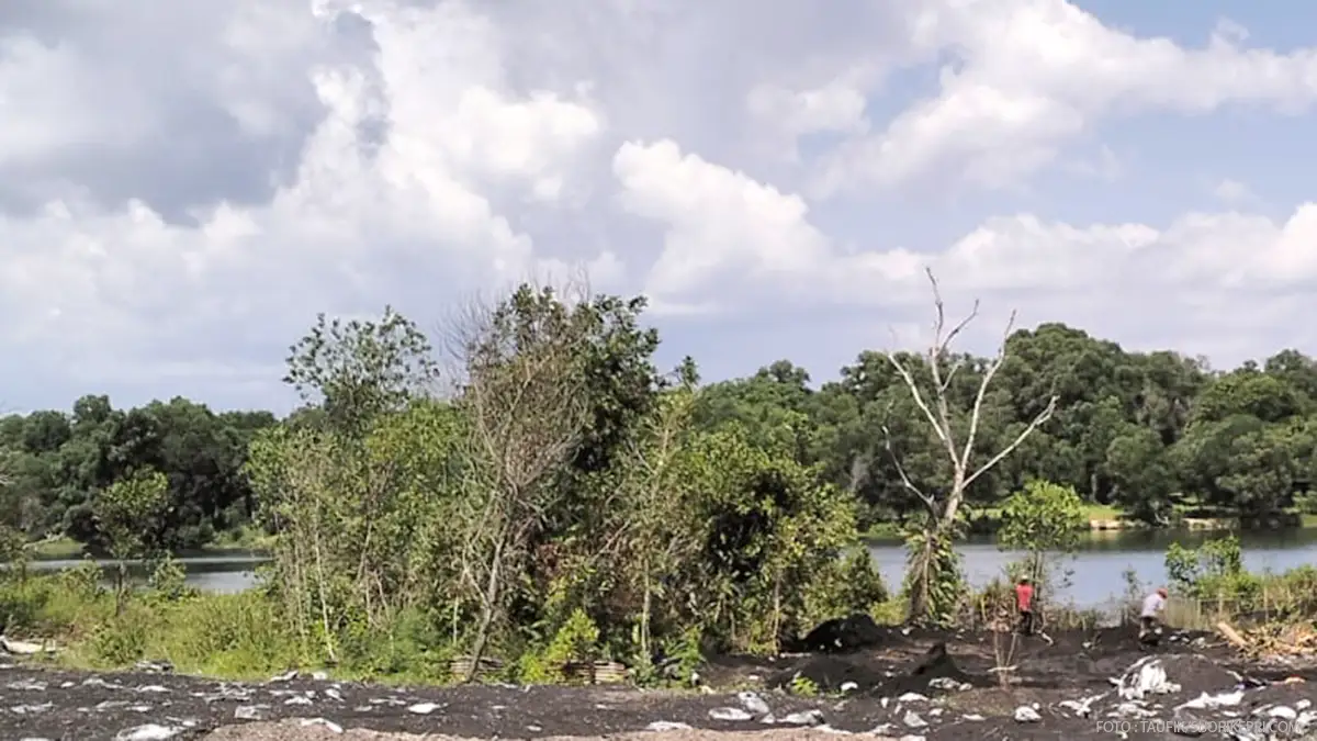 Camat Tebing Bantah Berikan Izin Pembuangan Limbah di Danau Sentani oleh PLTU Karimun