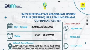 Pemeliharaan Jaringan Listrik di Tanjung Pinang, PLN Lakukan Pemadaman Sementara 22 Mei 2025 Mulai Pukul 14.00 WIB