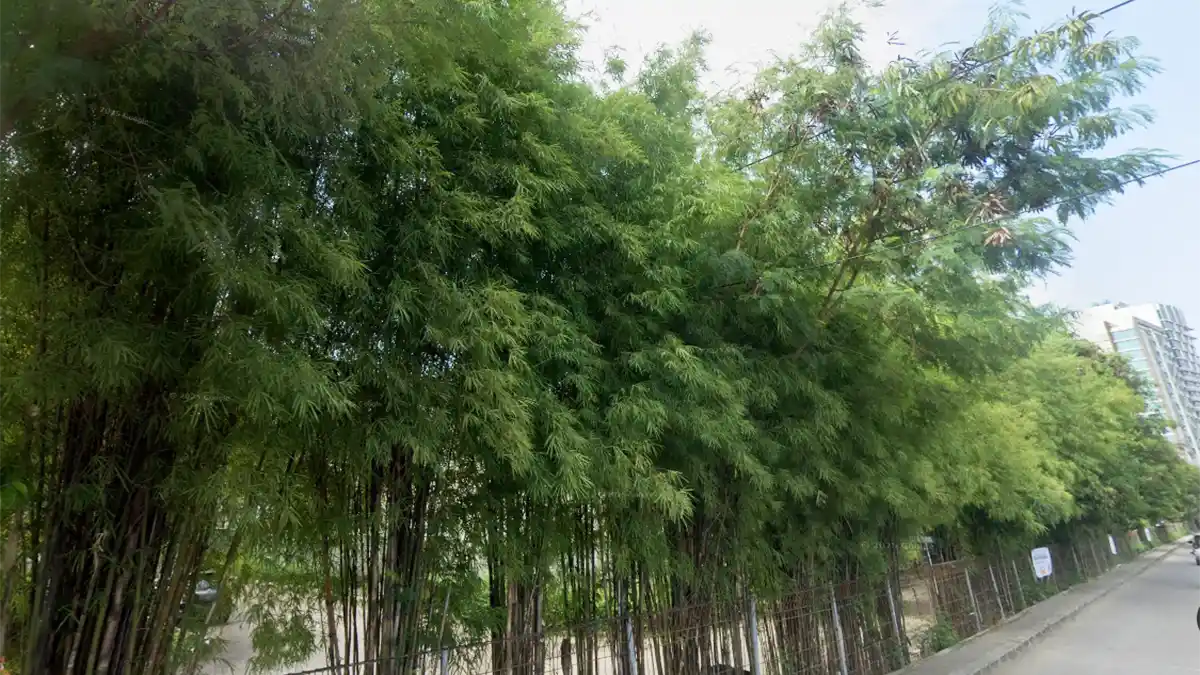 Pemkot Bekasi Bangun Taman dan Jalur Hijau untuk Redam Polusi