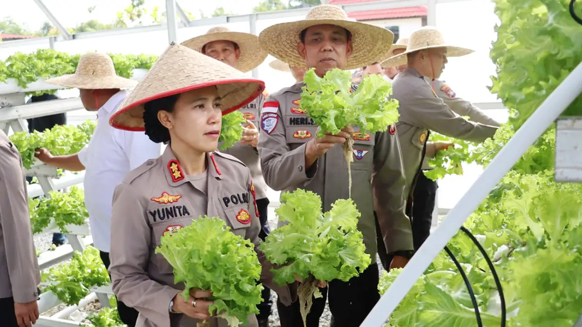 Kapolres Bintan, AKBP Yunita Stevani, memanen Sayur Hidroponik di halaman Mako Polres Bintan