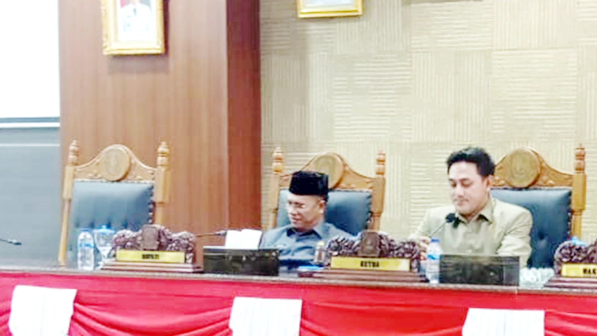 Setujui RPJMD, Fraksi PPIR DPRD Anambas Ajak Semua Pihak Wujudkan Kesejahteraan | Soroti Layanan Dasar dan Pengangguran