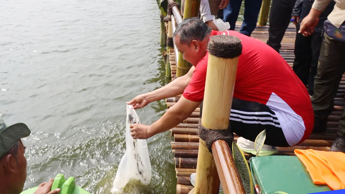 3.000 Ikan Ditebar di Danau Duta Harapan, Bekasi Perkuat Wisata Air dan Ekosistem