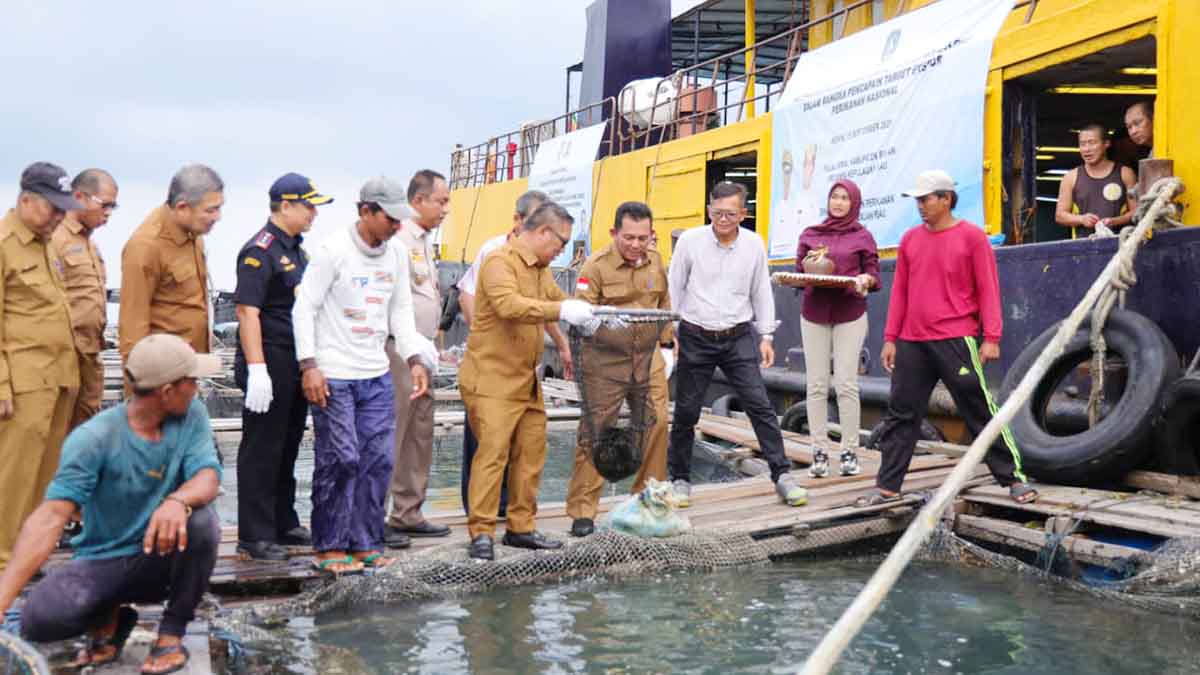 Kepri Jadi Pemasok Utama, Ekspor Ikan Kerapu Tembus USD3,88 Juta