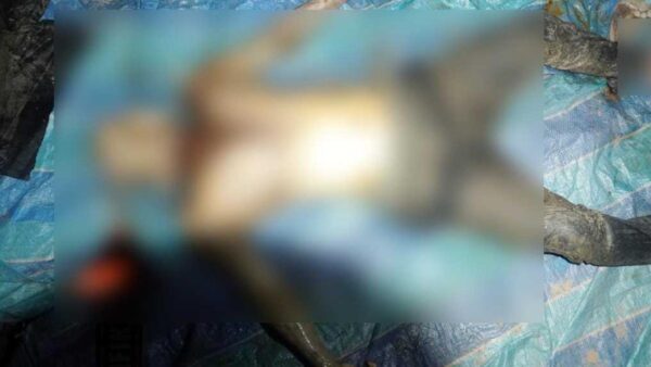 Polisi Selidiki Penemuan Mayat Misterius di Laut Karimun
