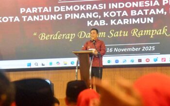 Ansar Ajak PDIP Kepri Bersinergi Majukan Daerah