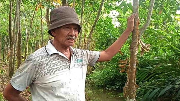 Perkebunan Warga di Pangke Karimun Terendam Limbah, Warga Minta PT Pasifik Granitama Bertanggung Jawab