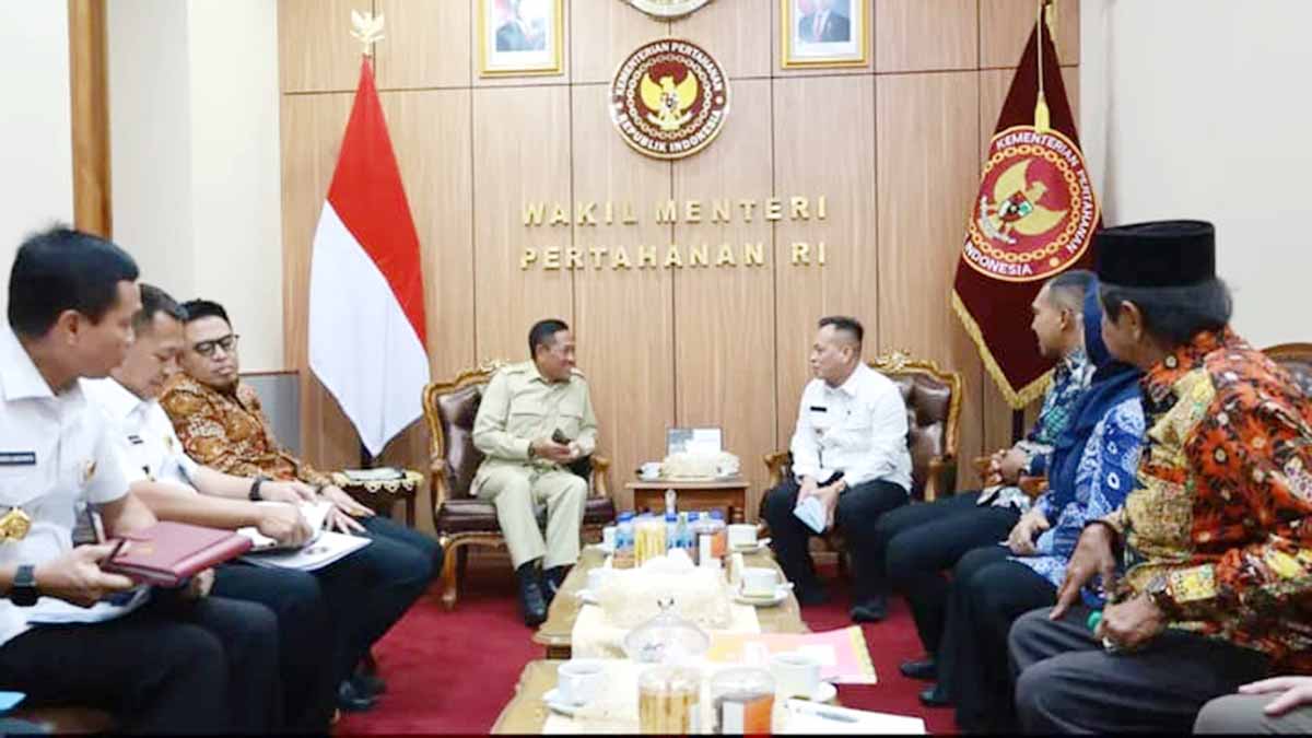 Investasi Smelter di Lingga, Wamenhan Donny Sampaikan 2 Opsi Kebijakan untuk Kawasan PSN