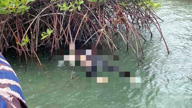 Kronologi Lengkap Evakuasi Korban Jatuh dari Jembatan Barelang, Setia Budi Ditemukan 0,5 NM dari Lokasi Kejadian
