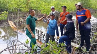 Sungai Tiram, Bekas Tambak yang Kini Jadi Harapan Baru Pesisir Bintan